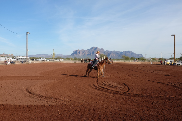 phoenix horse riding