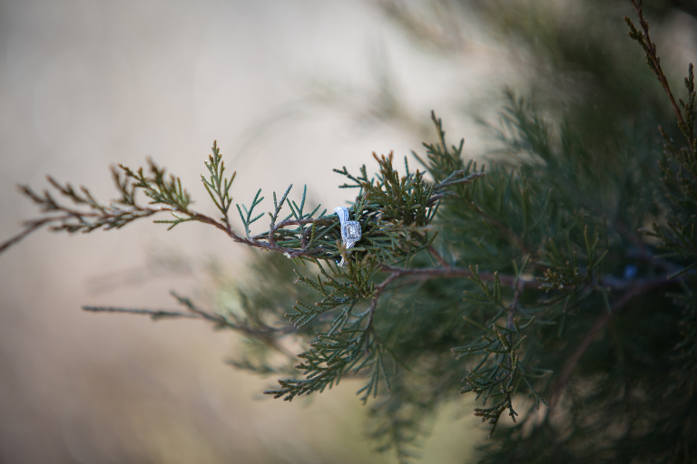 picture of ring Jenny Myers Photography