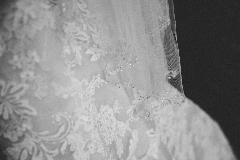 black and white photo of veil