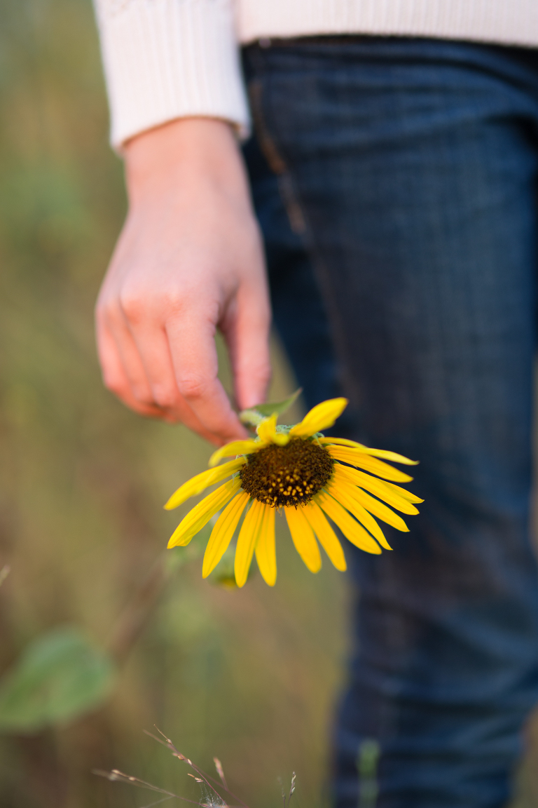 holding a sunflower